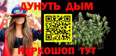 бошки Дубна