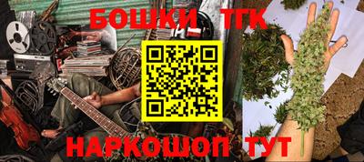 бошки Дубна