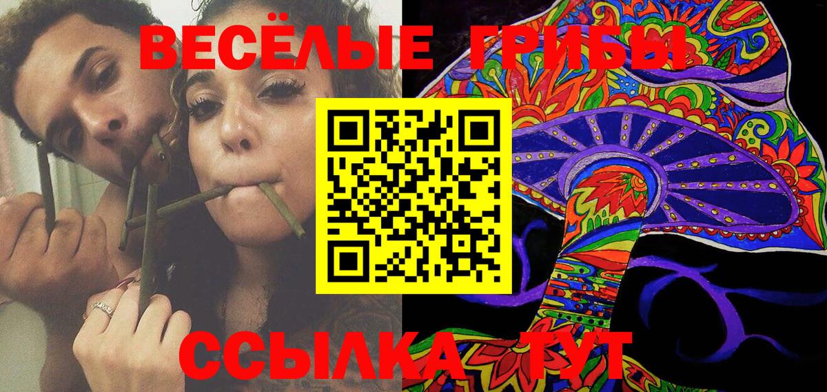 Псилоцибиновые грибы MAGIC MUSHROOMS Краснознаменск