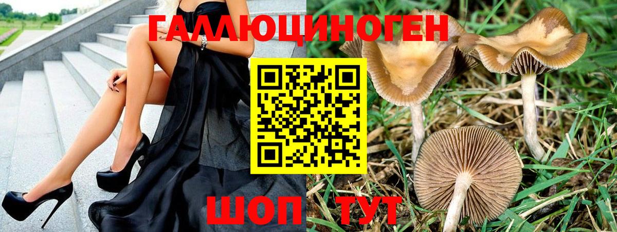 Краснознаменск  закладка  Галлюциногенные грибы MAGIC MUSHROOMS  Вход с VPN  Галлюциногенные грибы GOLDEN TEACHER 